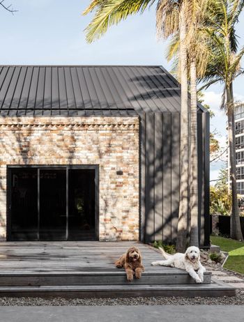 A welcoming yard.