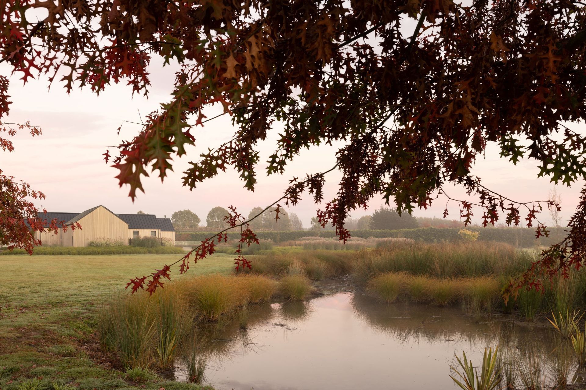 Amongst the idyllic landscape, looking back at The Gate House's eastern face, where the utility shed sits to the side of the main house | Photographer: Anna McLeod