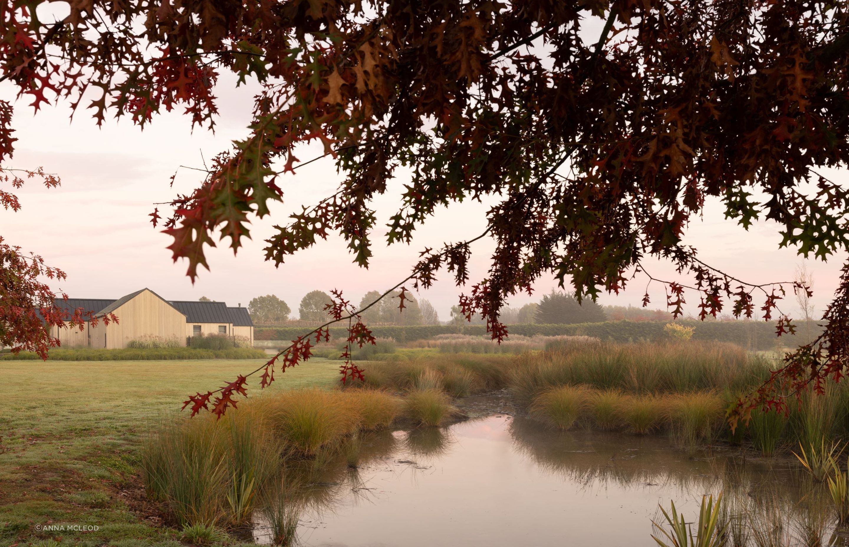 Amongst the idyllic landscape, looking back at The Gate House's eastern face, where the utility shed sits to the side of the main house | Photographer: Anna McLeod
