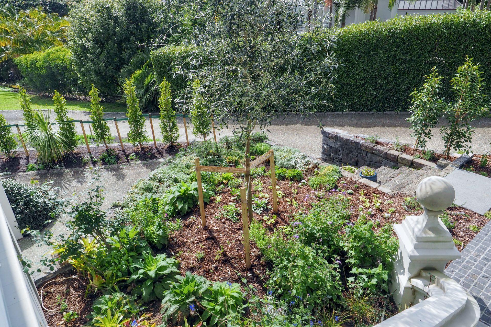 It was important that the landscaping complemented and added to the recently renovated home.