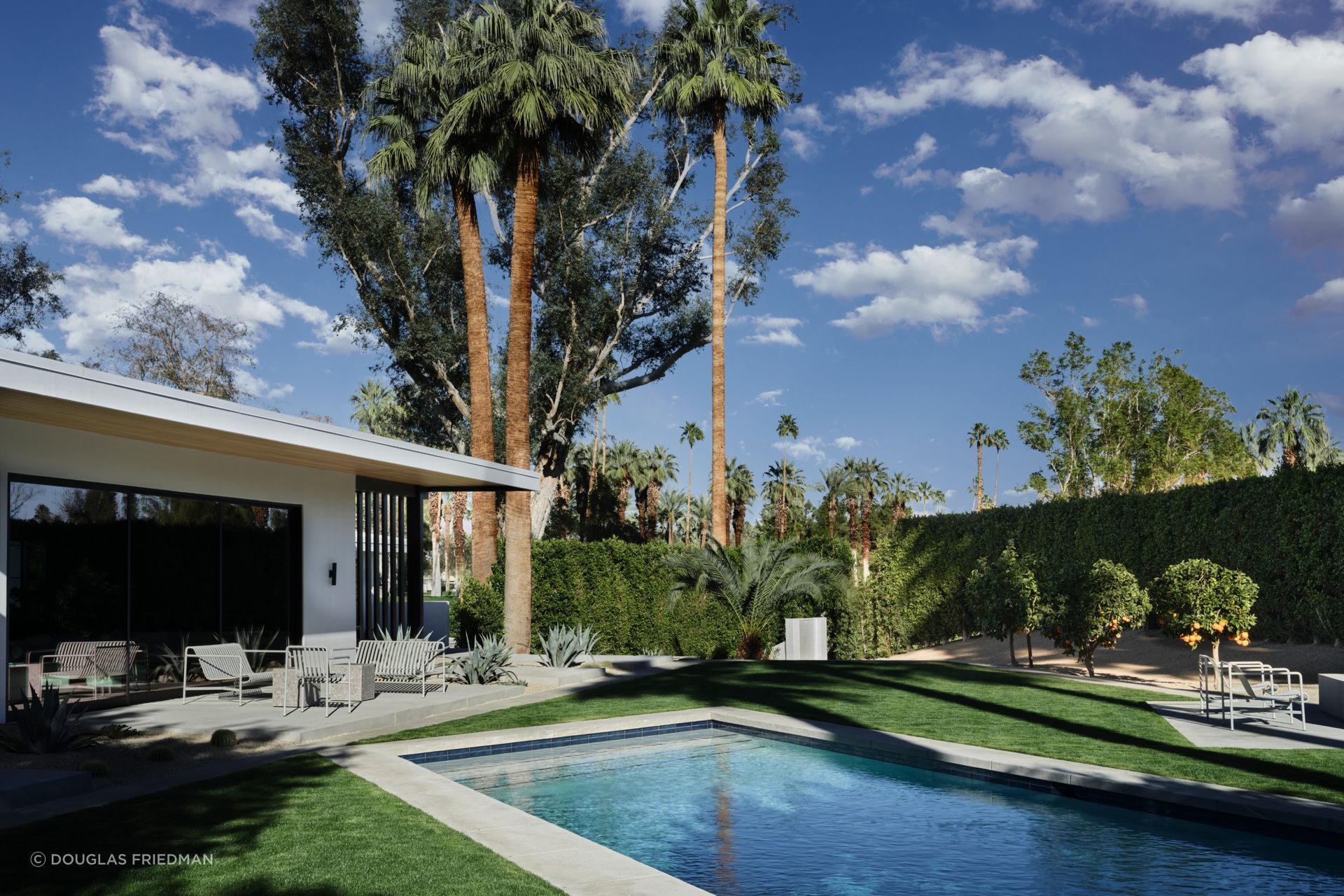 Paved borders resolve the pool's odd geometry into a coherent whole, tying together a fire feature, a cactus garden, and a run of citrus trees along the property's edge.
