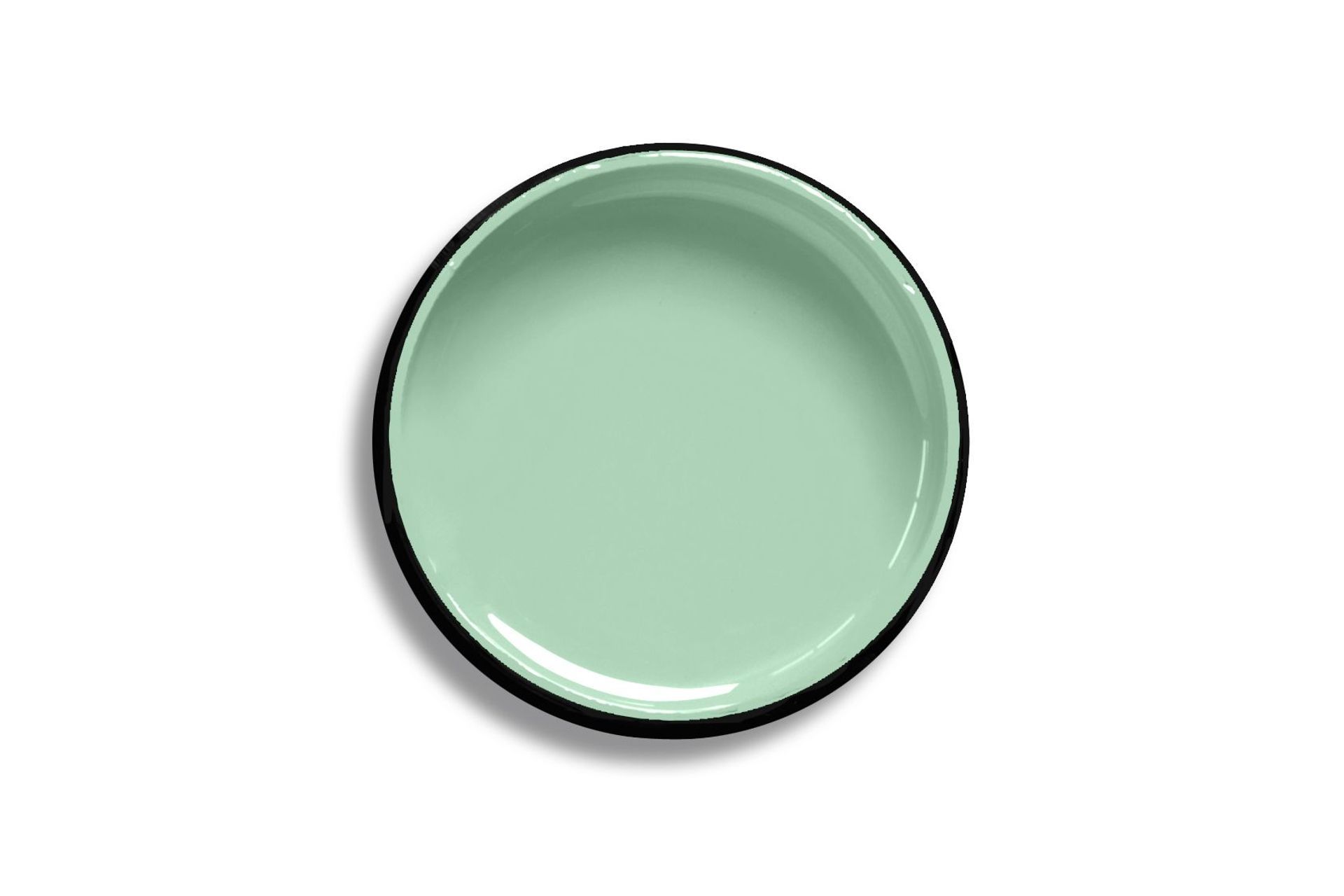 Chinook paint by Resene