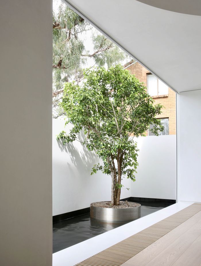 A little island with a tree growing in it in the pool is a whimsical touch.