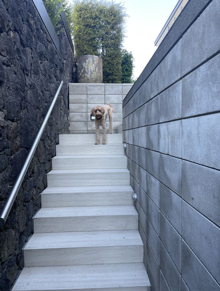 Sensi Roma tiles create a seamless transition across all areas of the project.