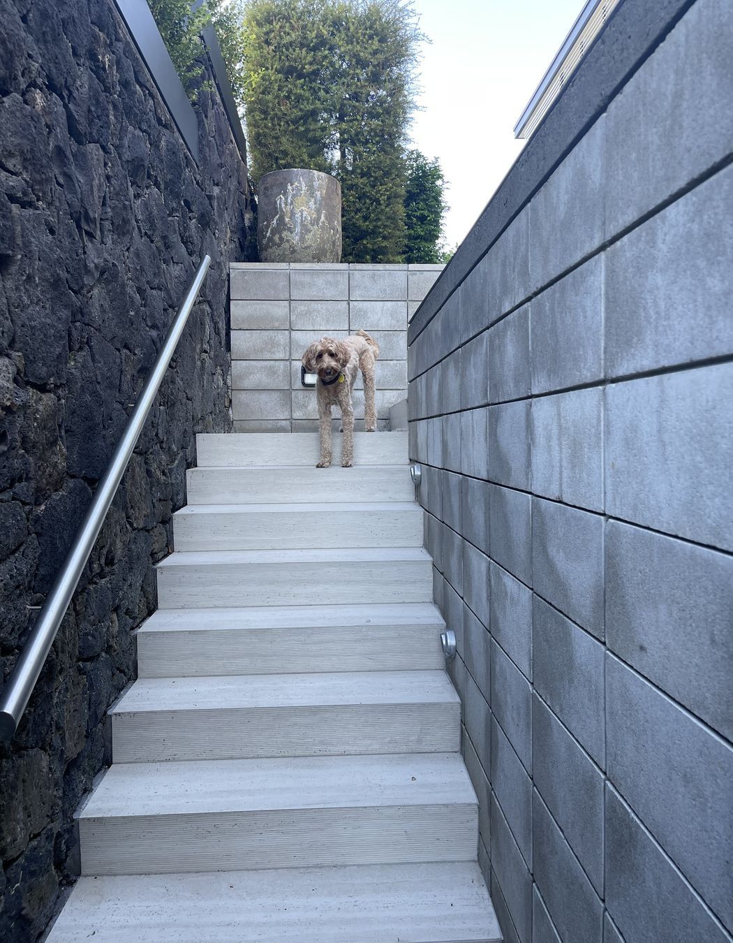 Sensi Roma tiles create a seamless transition across all areas of the project.