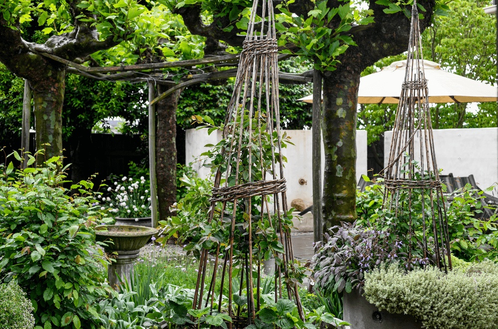 Espaso Verde makes regular visits to Southland Home to maintain the garden.