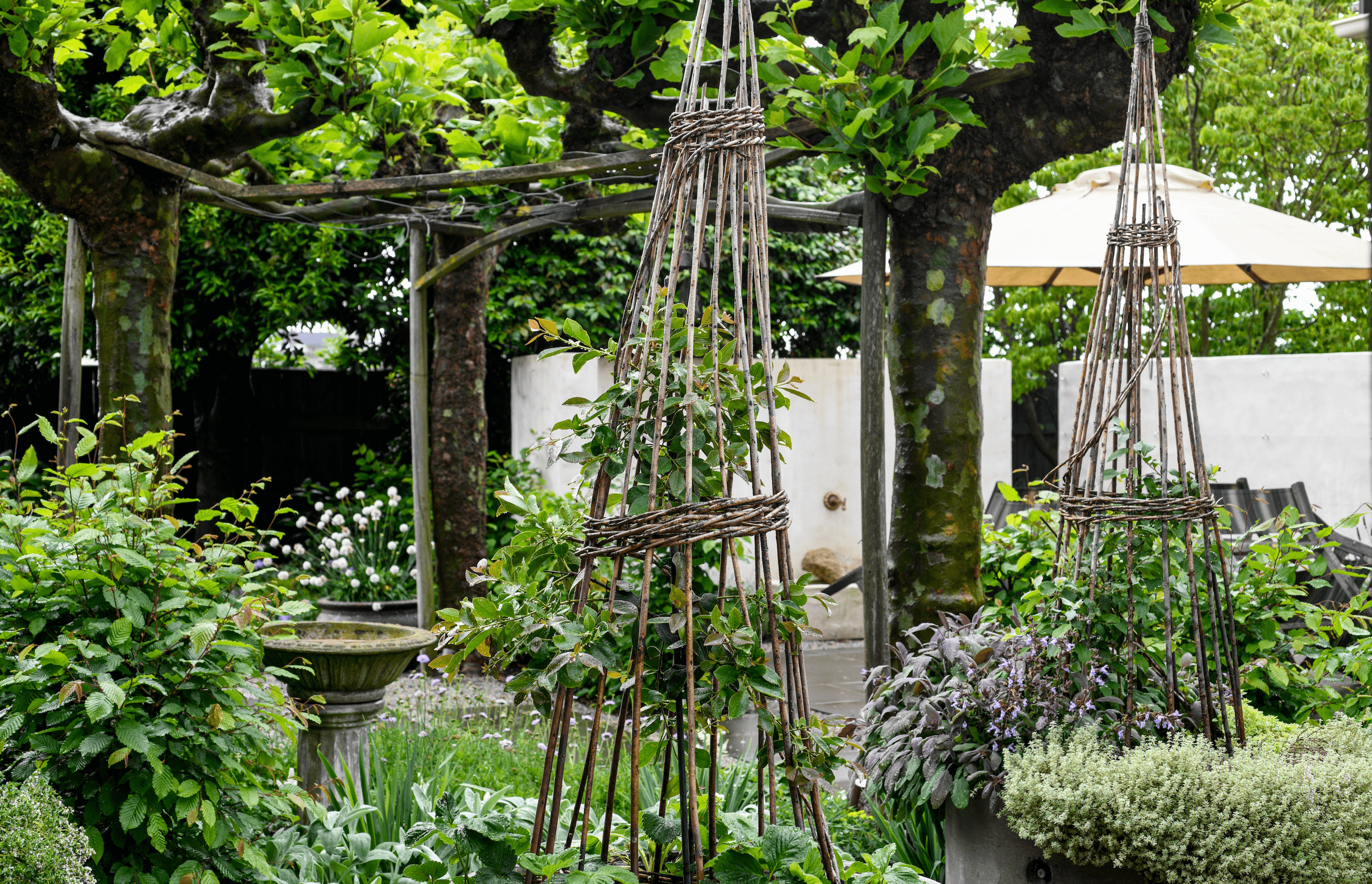 Espaso Verde makes regular visits to Southland Home to maintain the garden.