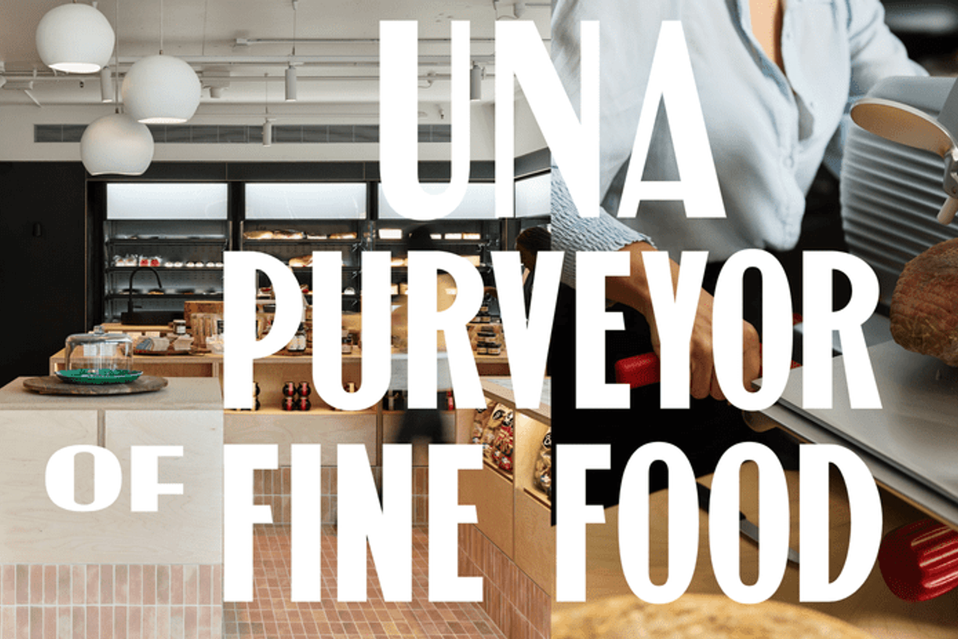 UnaProvidore-Website.png