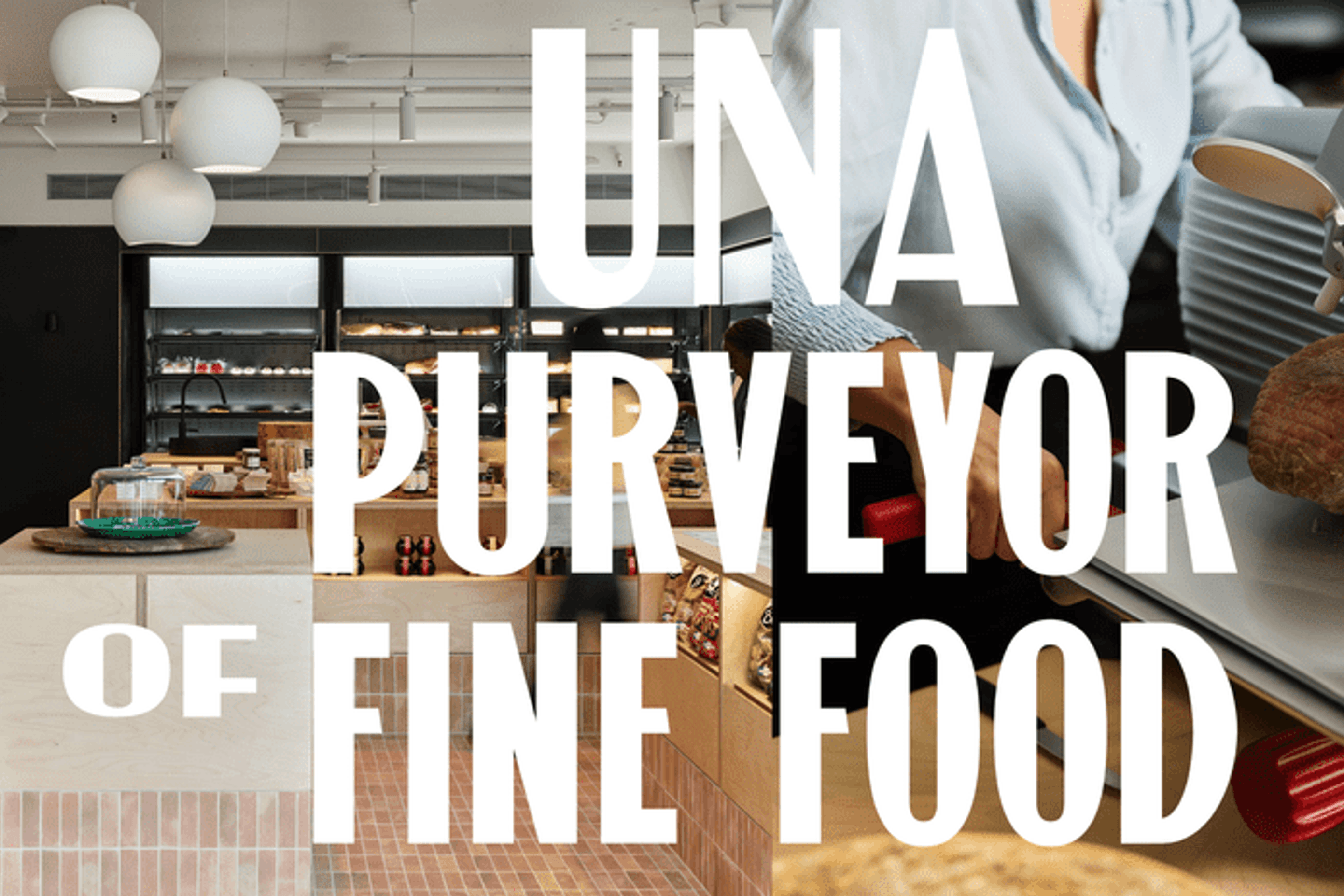 UnaProvidore-Website.png