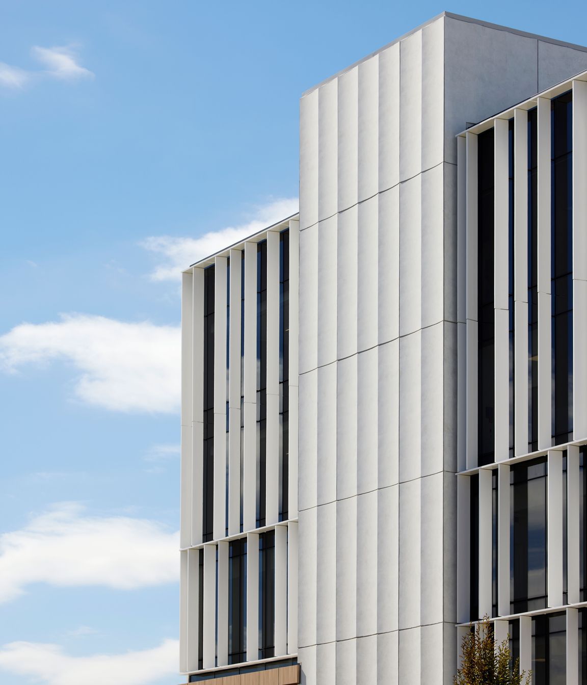 The exterior louvres are functional, carefully allowing natural light into the building's office spaces.