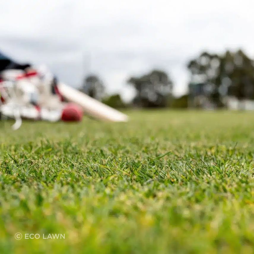 artificial-grass-cricket-field-gigapixel-standard-v2-2000w.jpeg