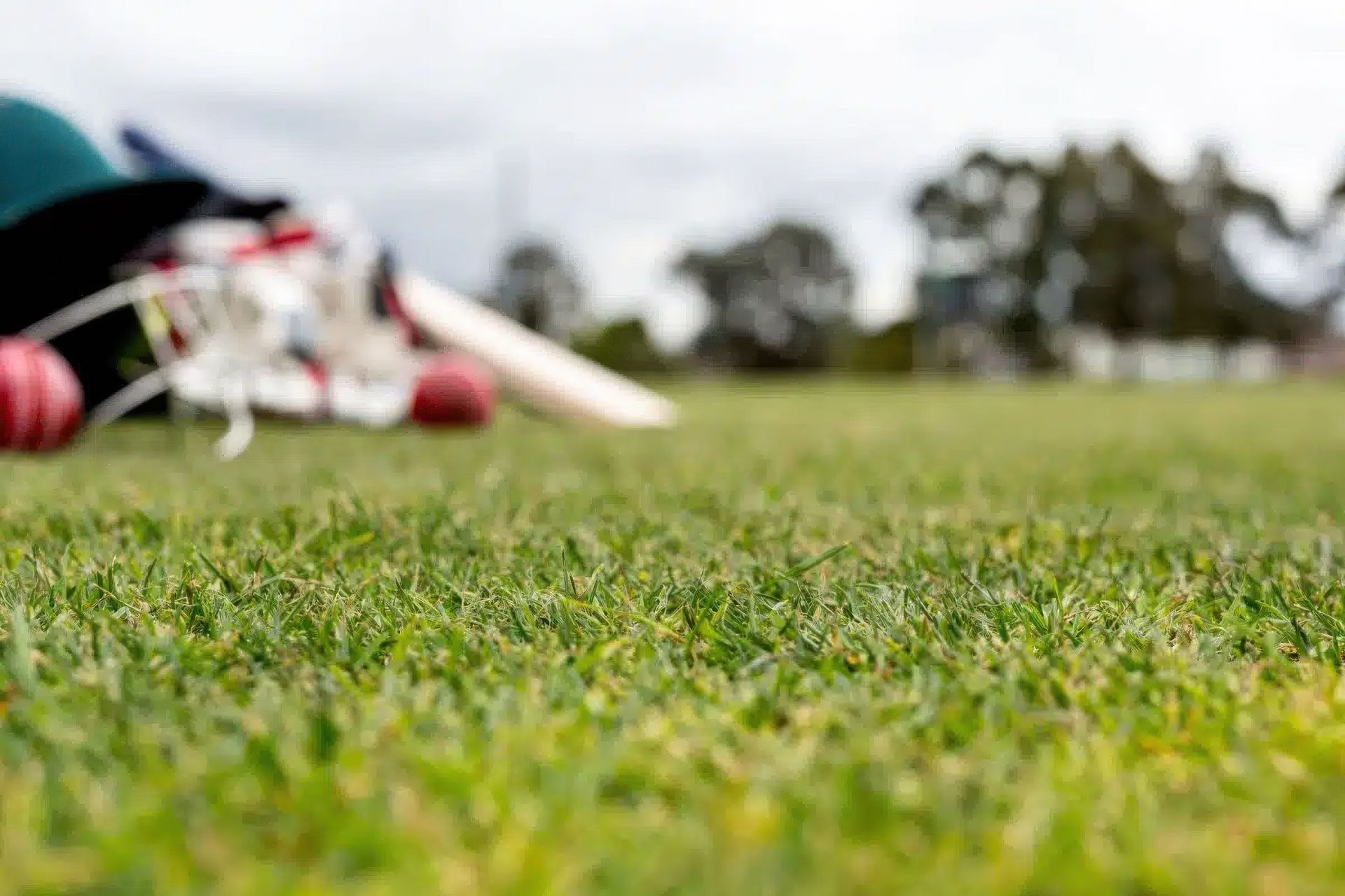 artificial-grass-cricket-field-gigapixel-standard-v2-2000w.jpeg