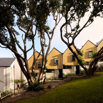 An important heritage site in Wellington was developed into a medium-density housing project that honours its history