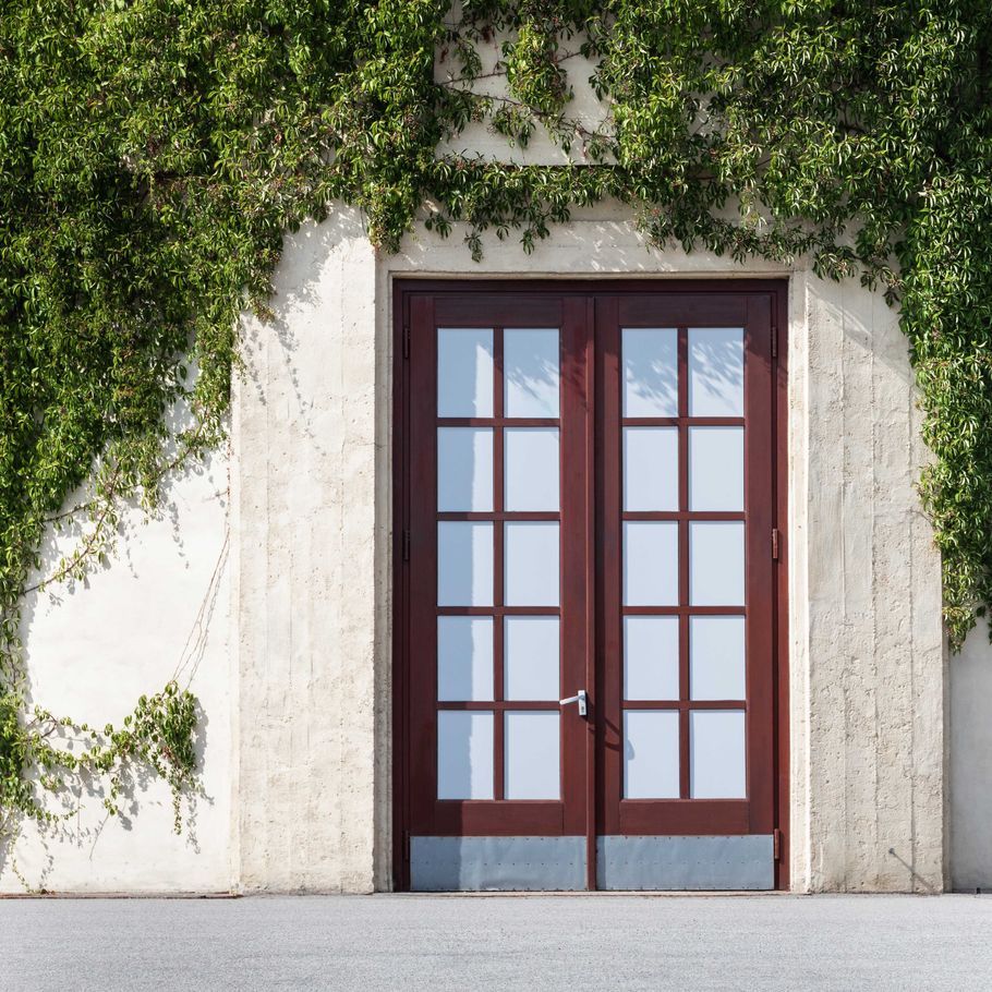 Homes that breathe: how to incorporate living architecture