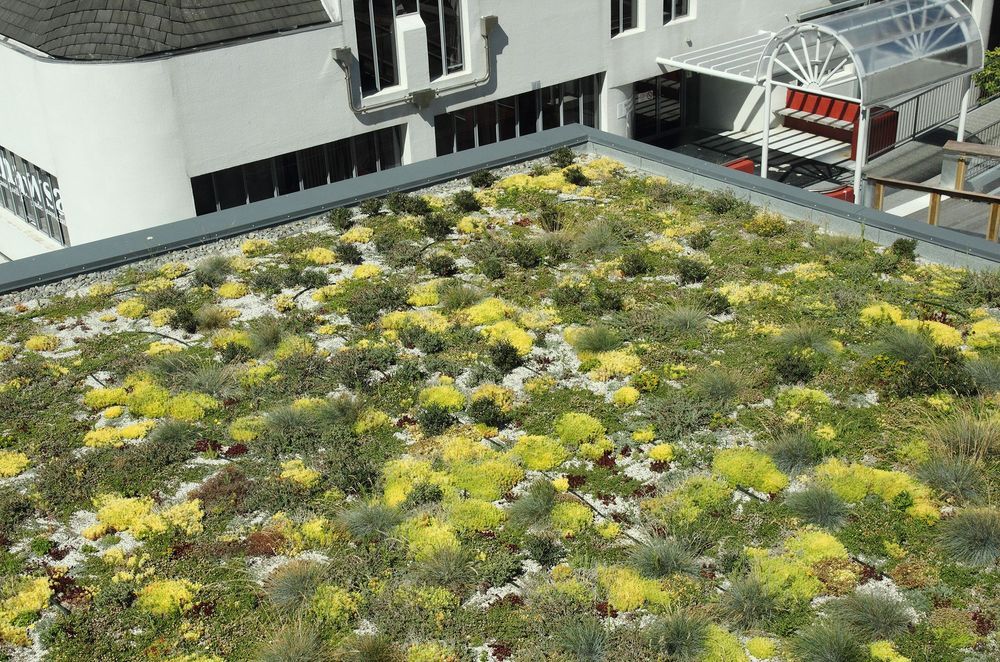 Duotherm Green Roof System