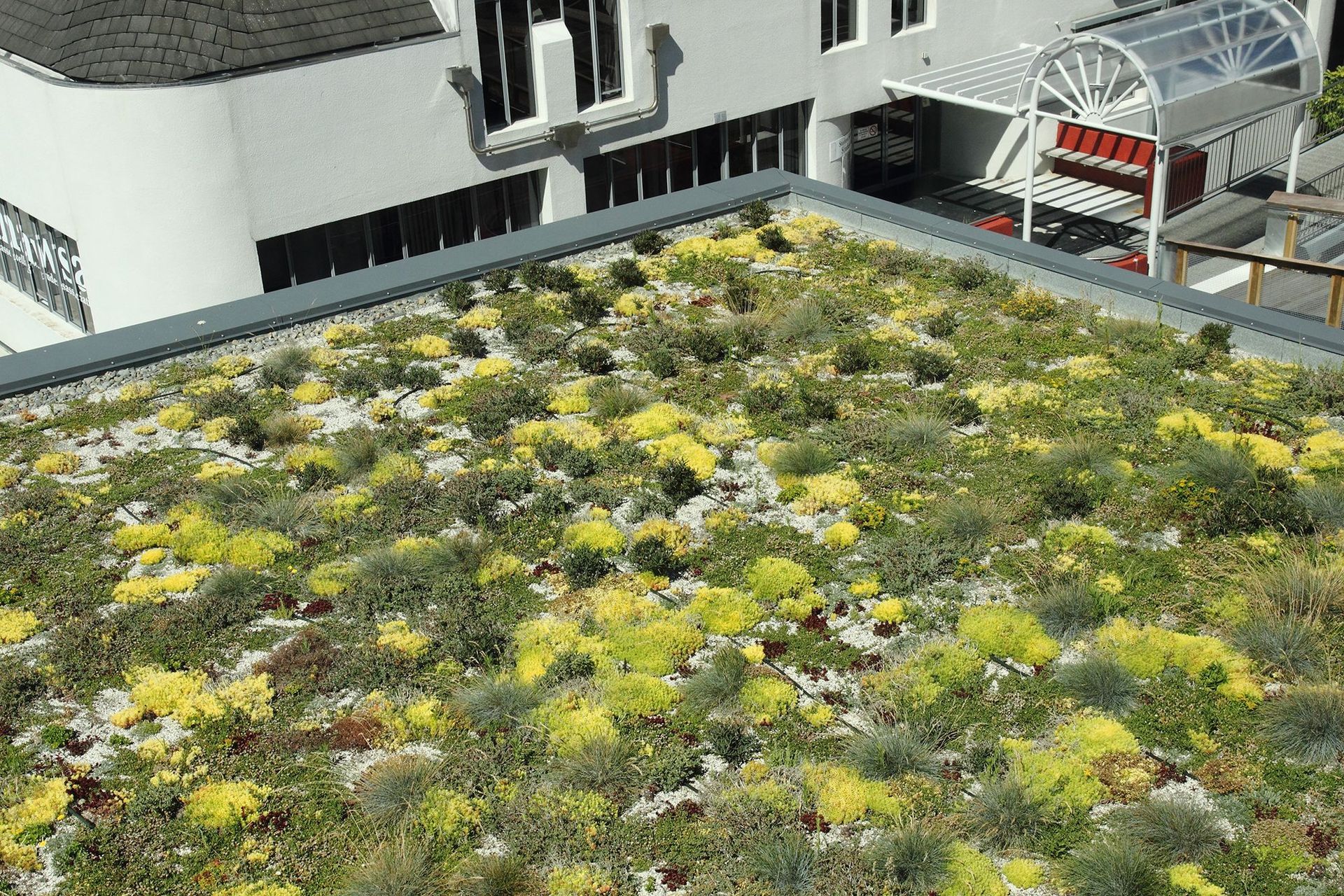 Duotherm Green Roof System