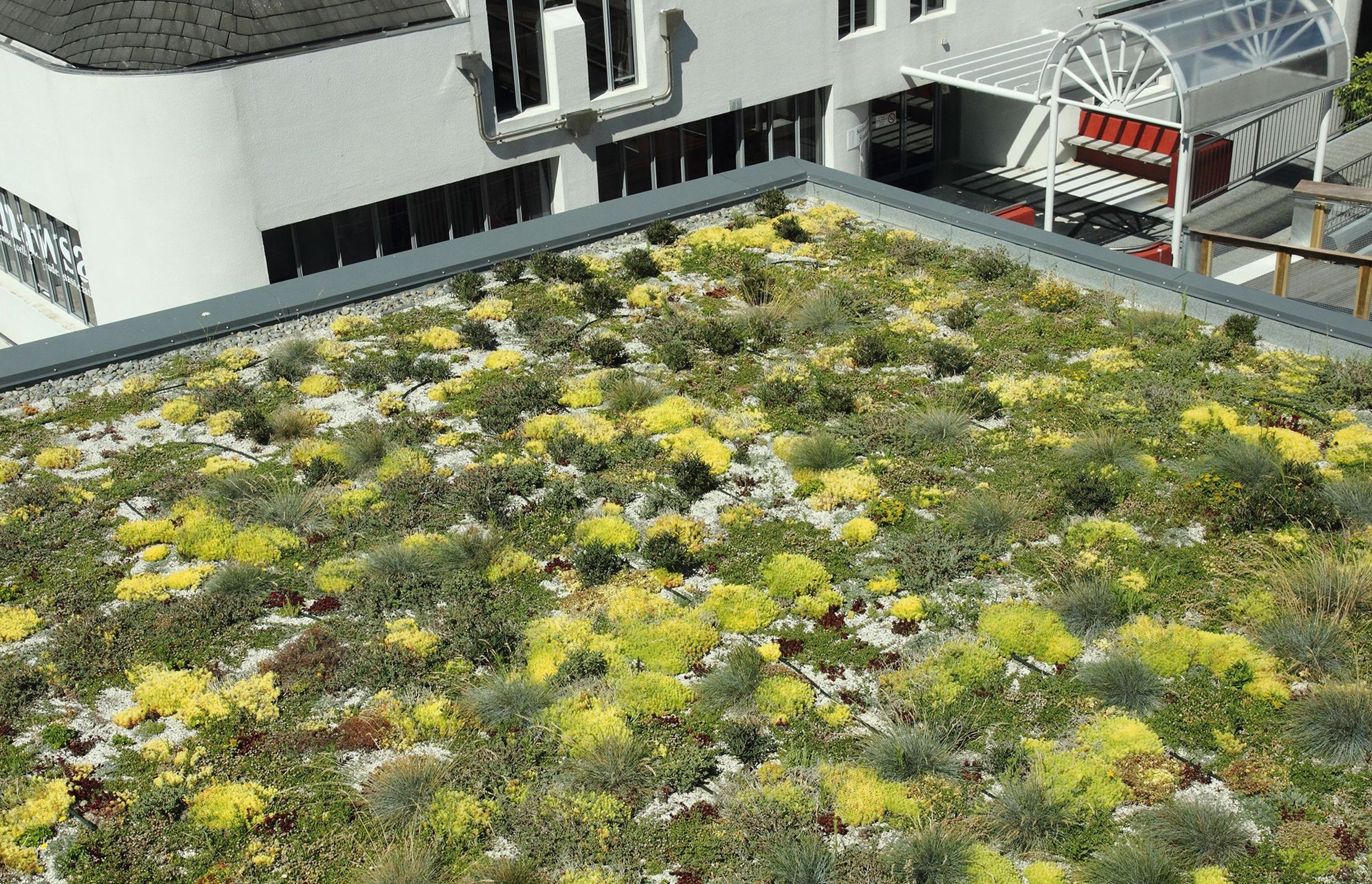 Duotherm Green Roof System