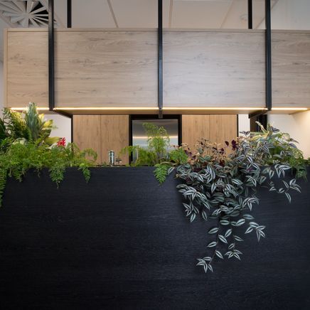 Bringing nature indoors with woodgrain cabinetry