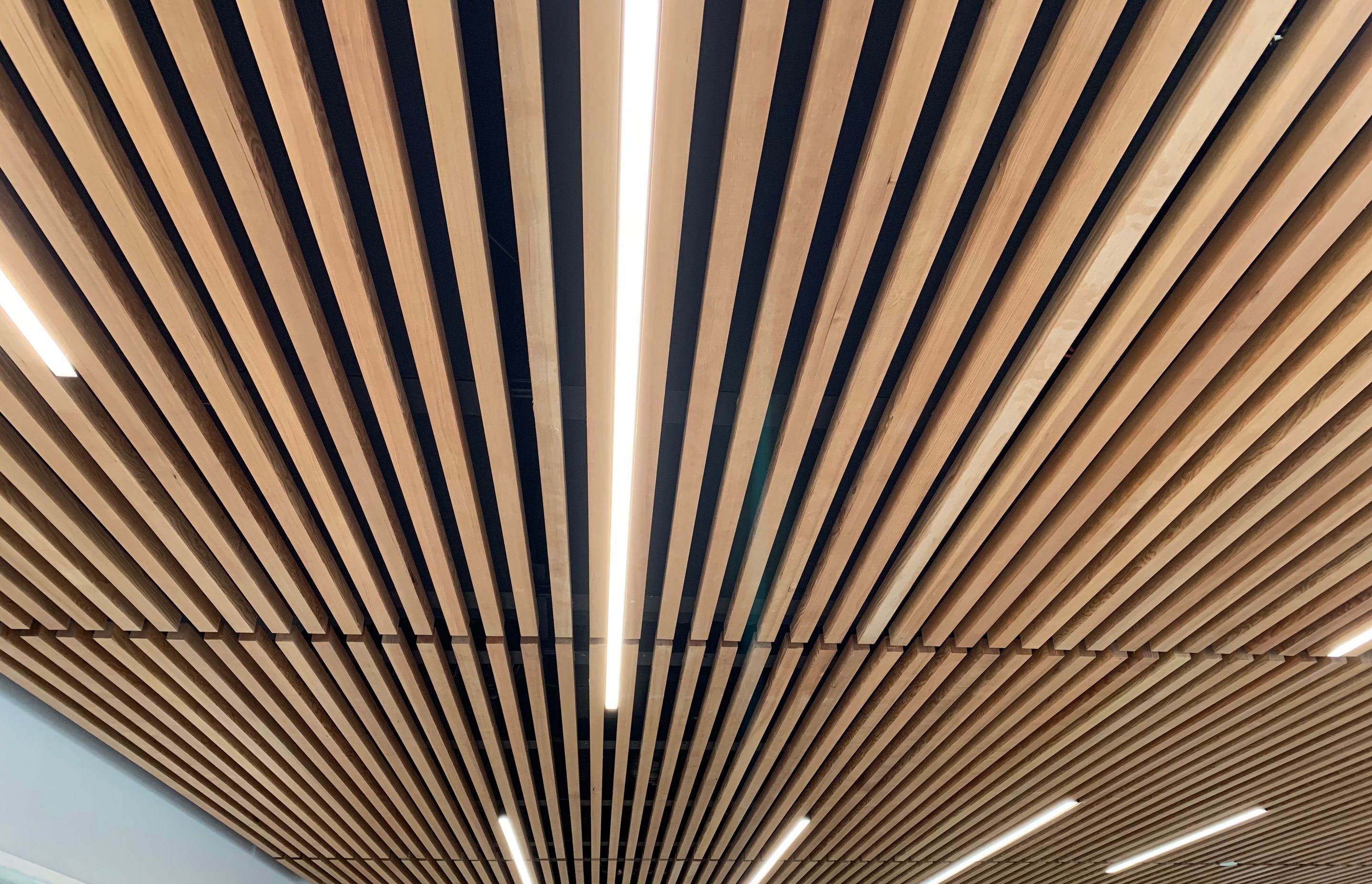 Linear LED lights incorporated into a western hemlock feature ceiling.