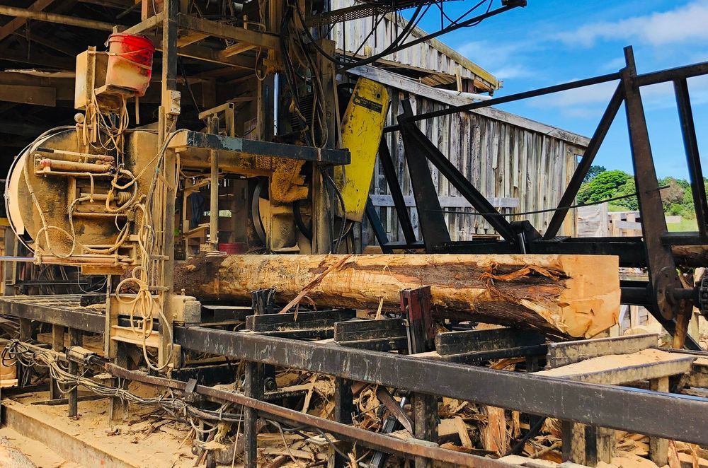 Processing a Macrocarpa log at the MacDirect mill in Franklin, South Auckland.