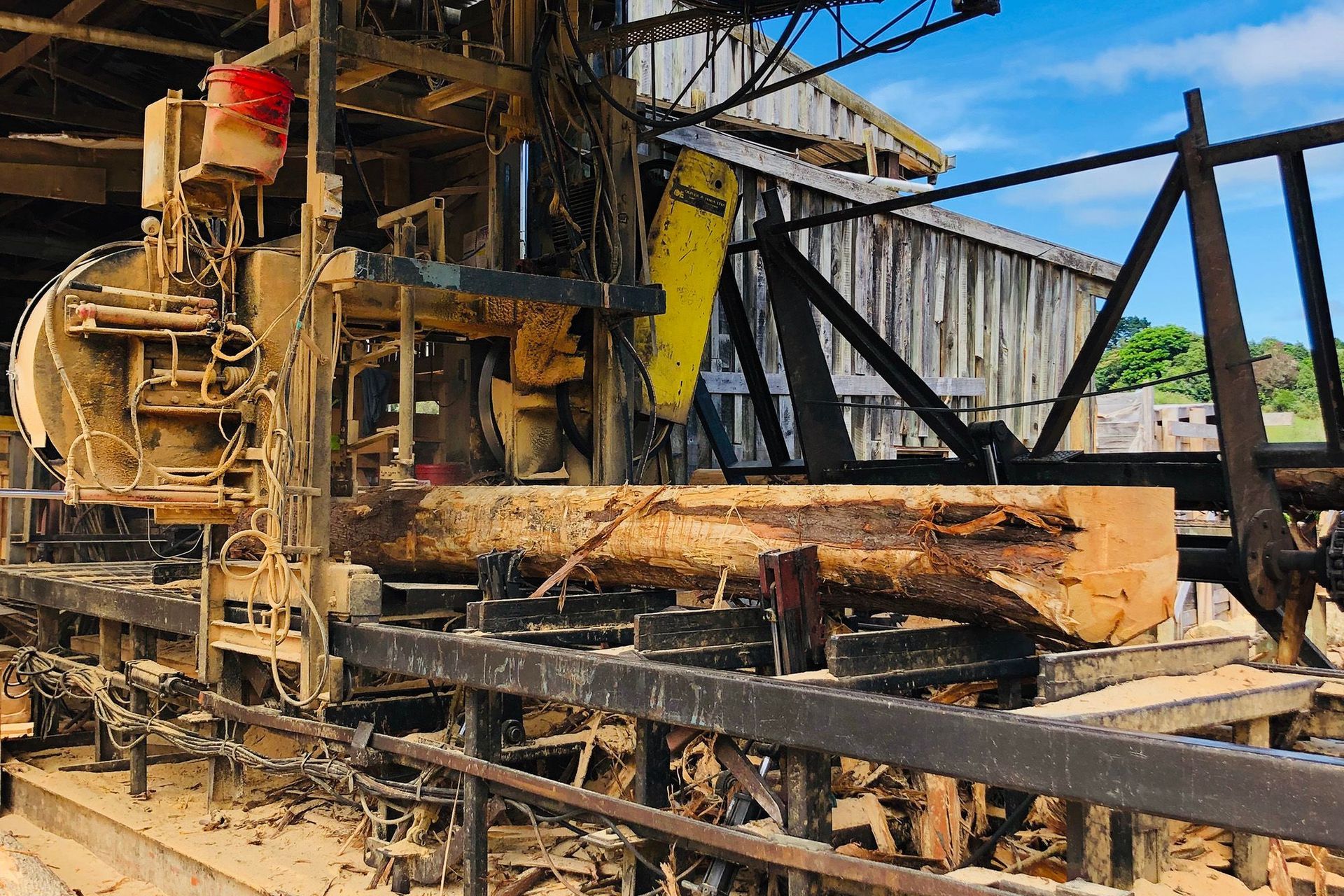 Processing a Macrocarpa log at the MacDirect mill in Franklin, South Auckland.