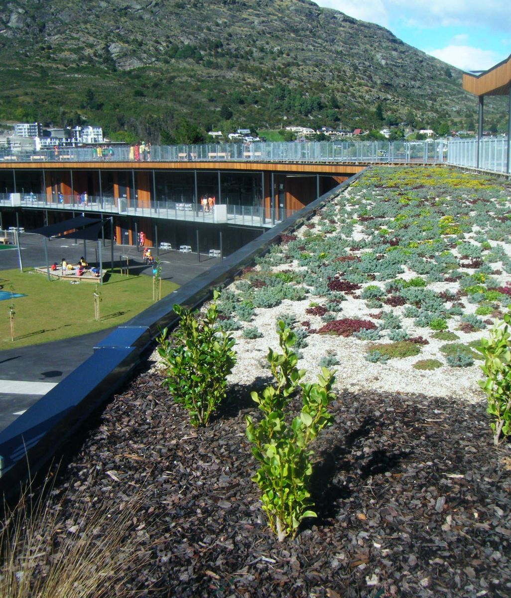 Greening our cities: from the rooftops
