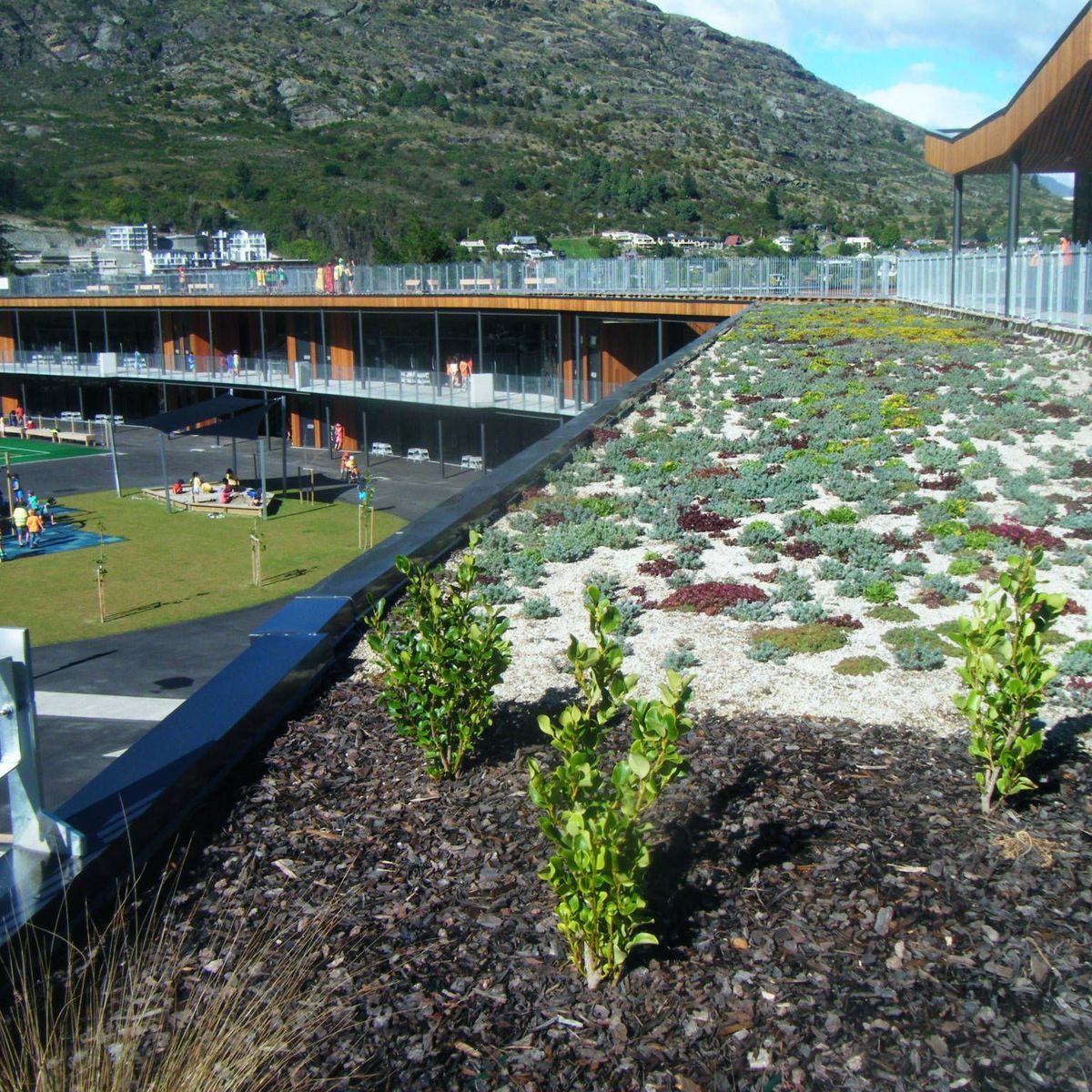Greening our cities: from the rooftops