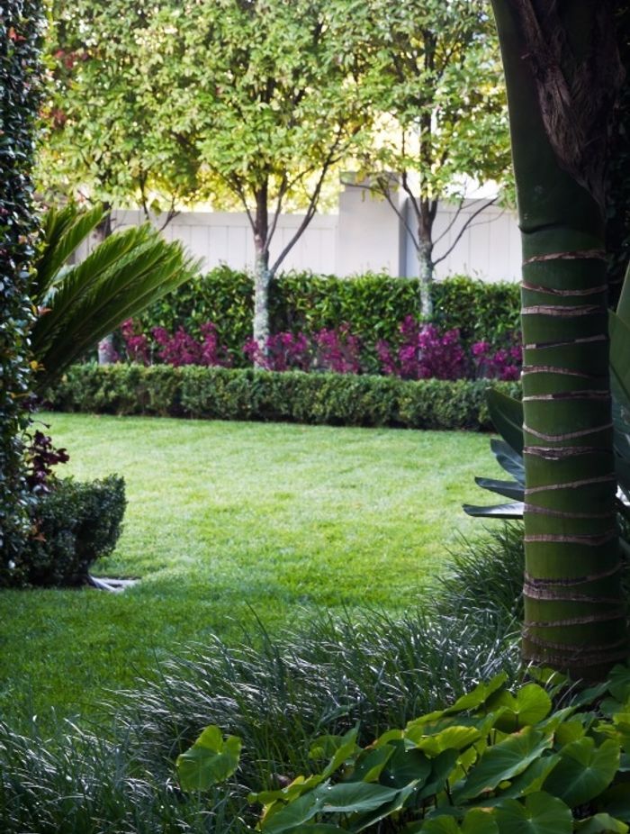 A lush lawn can be the jewel in a garden's crown, as this Herne Bay project proves.