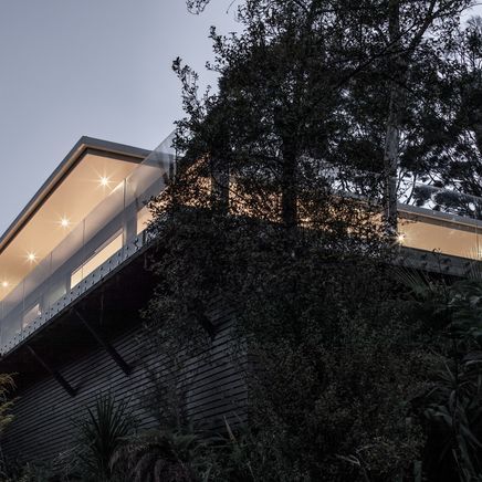 Kiwi Modernism: how California Modernism has transformed our homes