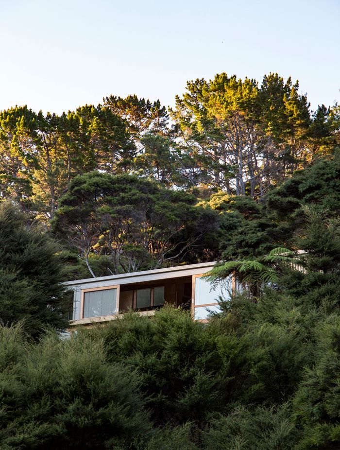 Photos shown are of Motu Kaikoura - Lodge by SGA Architects. Motu is a protected scenic reserve north-west of Great Barrier Island and the projet used Metalcraft Insulated Panels -Thermospan product on the roof and Metalcraft Roofings Corrugate profile as