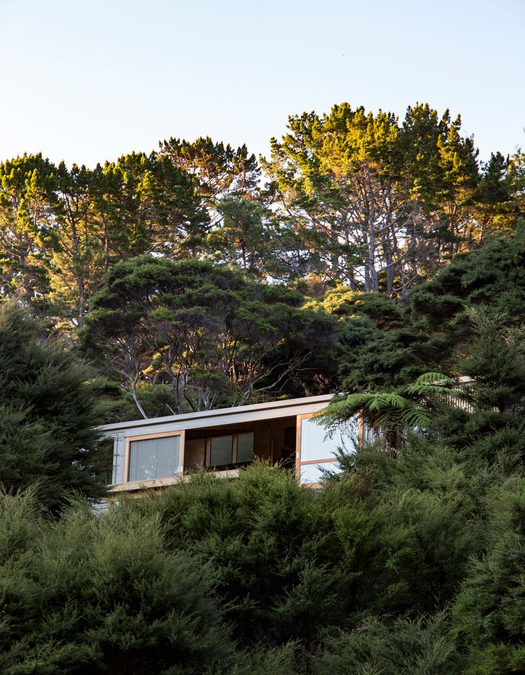 Photos shown are of Motu Kaikoura - Lodge by SGA Architects. Motu is a protected scenic reserve north-west of Great Barrier Island and the projet used Metalcraft Insulated Panels -Thermospan product on the roof and Metalcraft Roofings Corrugate profile as