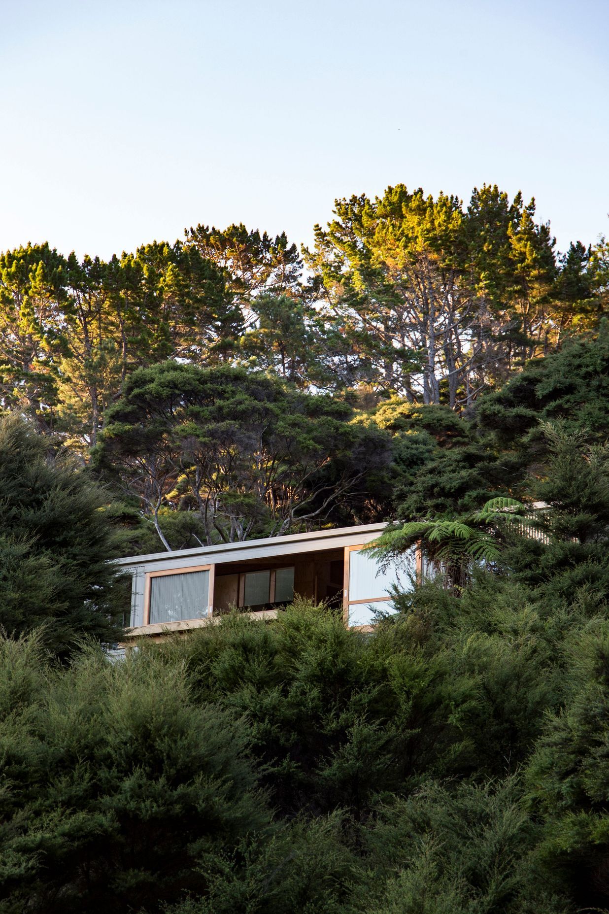 Photos shown are of Motu Kaikoura - Lodge by SGA Architects. Motu is a protected scenic reserve north-west of Great Barrier Island and the projet used Metalcraft Insulated Panels -Thermospan product on the roof and Metalcraft Roofings Corrugate profile as