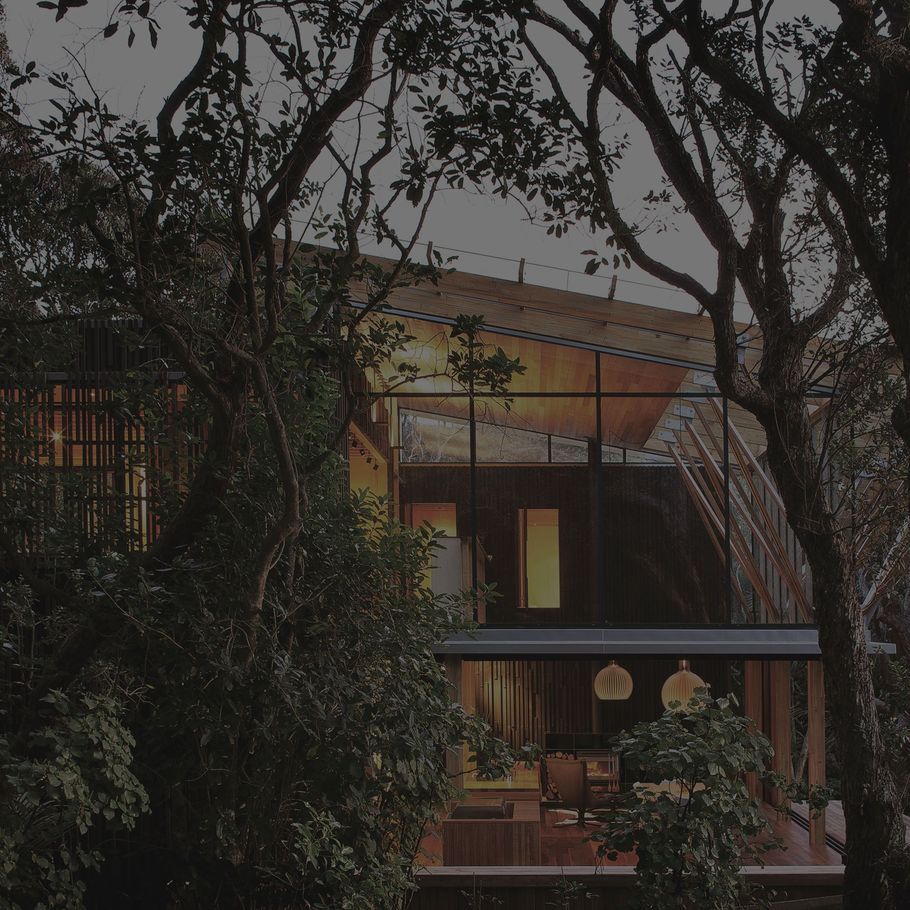 Dryden WoodOil – the story of a much-loved Kiwi product