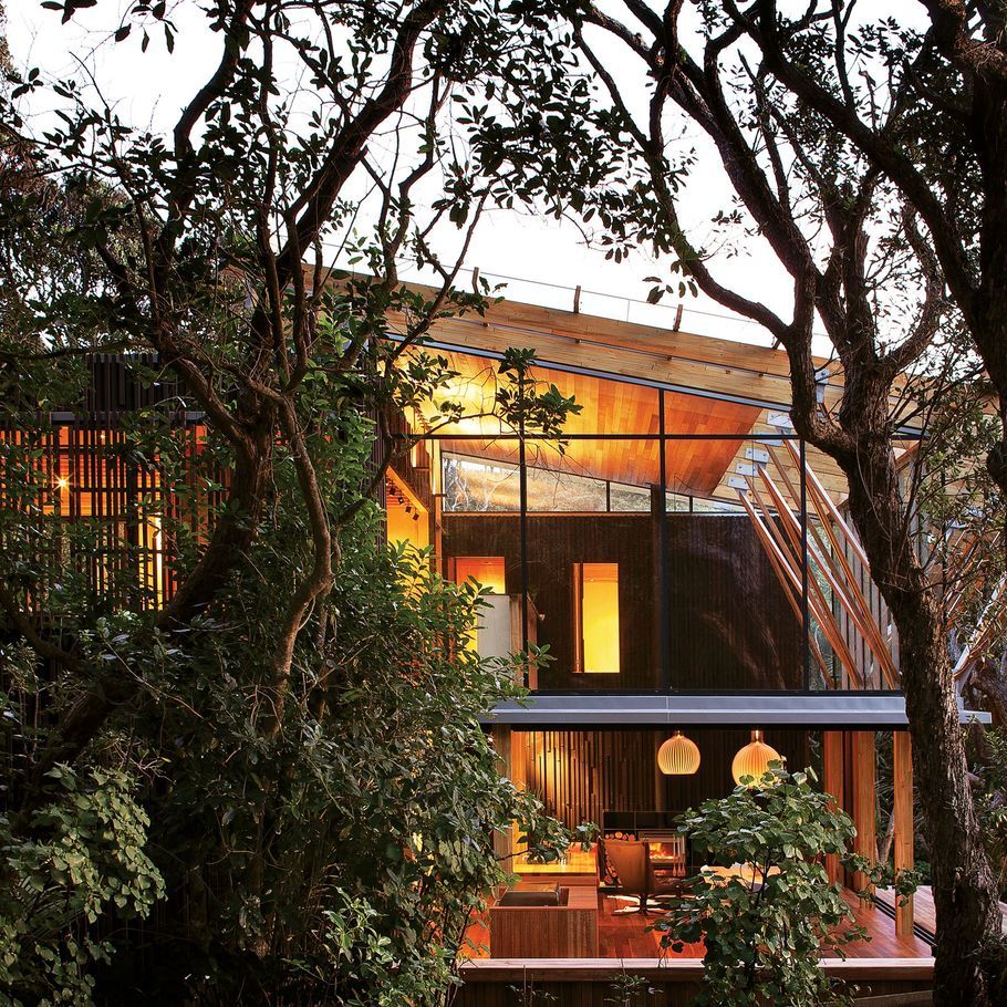 Illuminating with wood oil