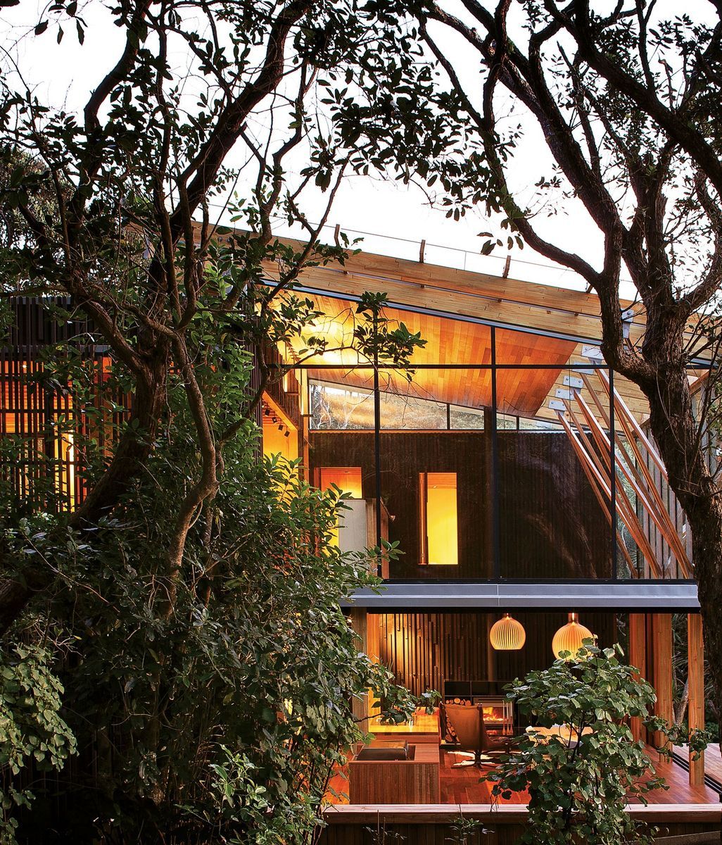 Illuminating with wood oil