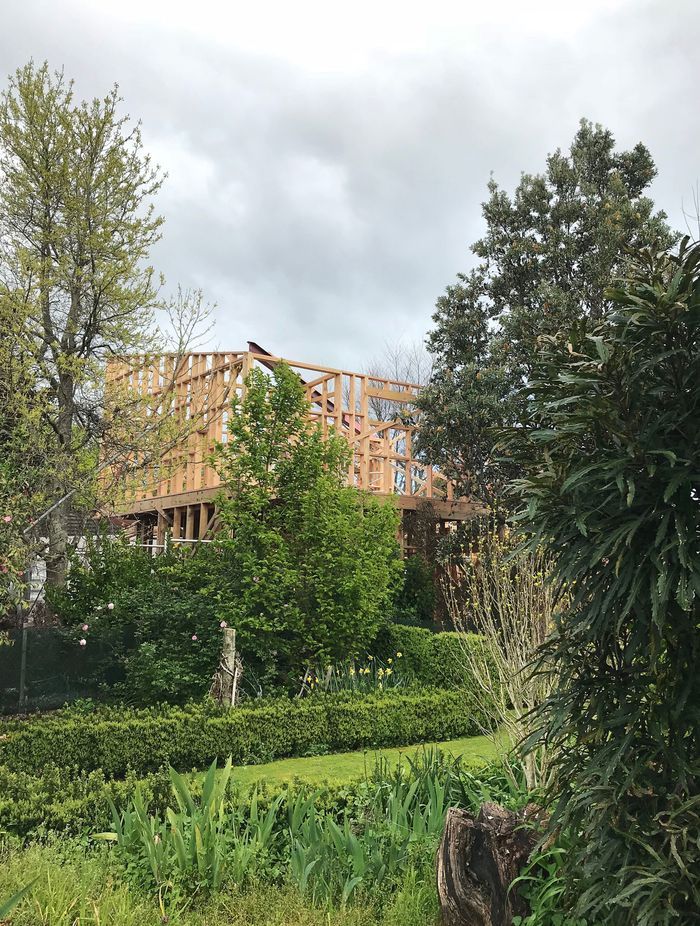Peeking through the established, neighbouring private garden on the Northern boundary of Habitat.