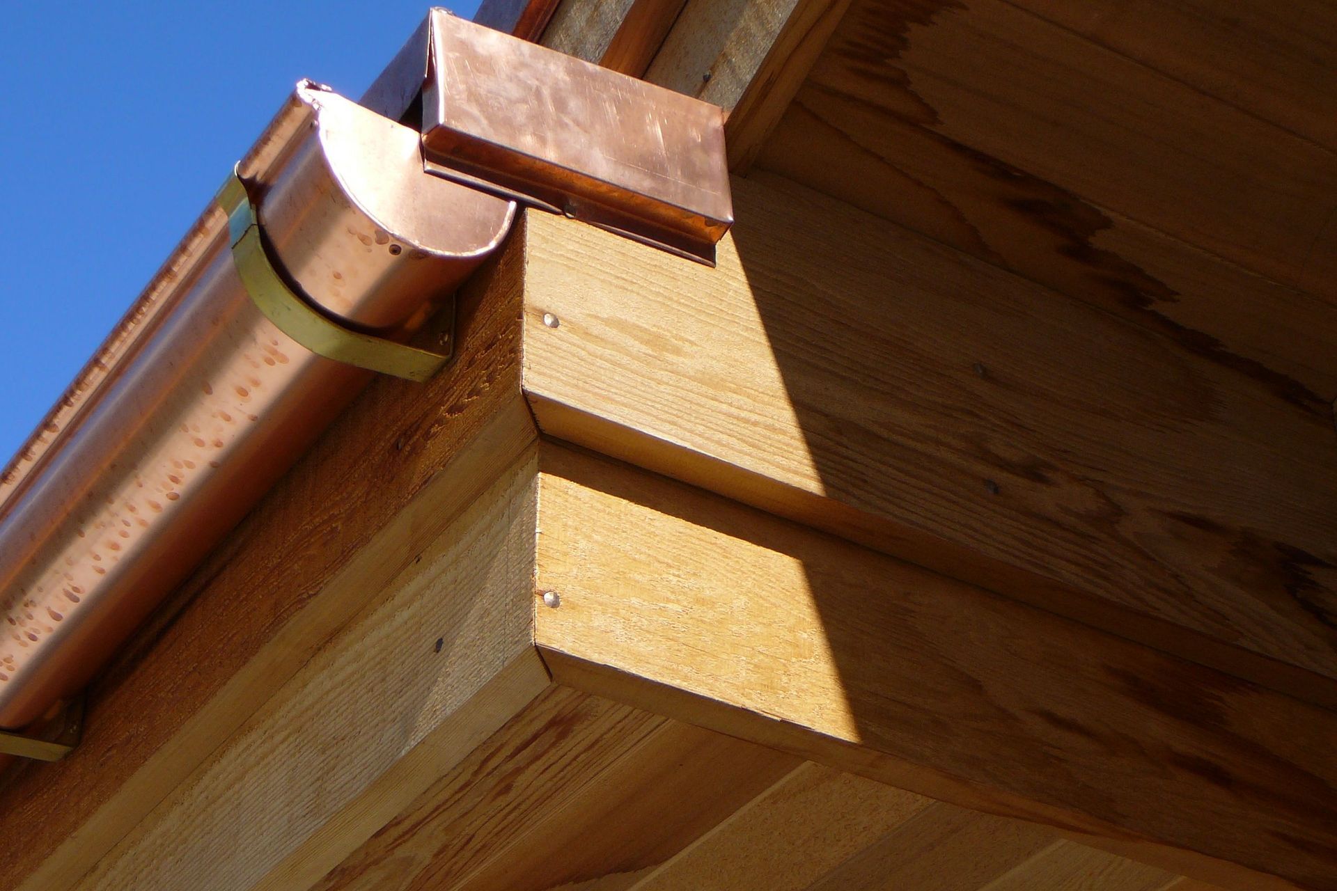 Western Red Cedar