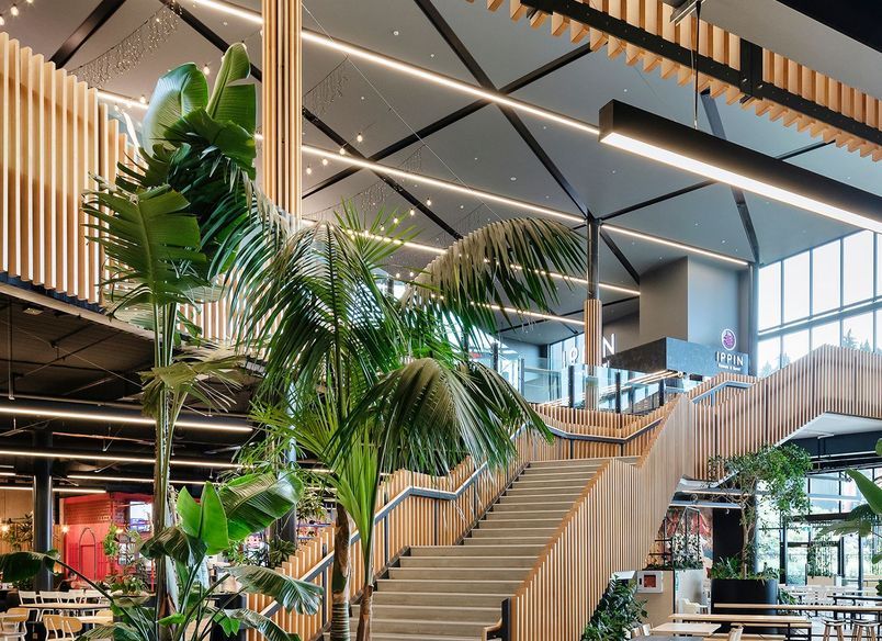 Project Timber: Tauranga Crossing