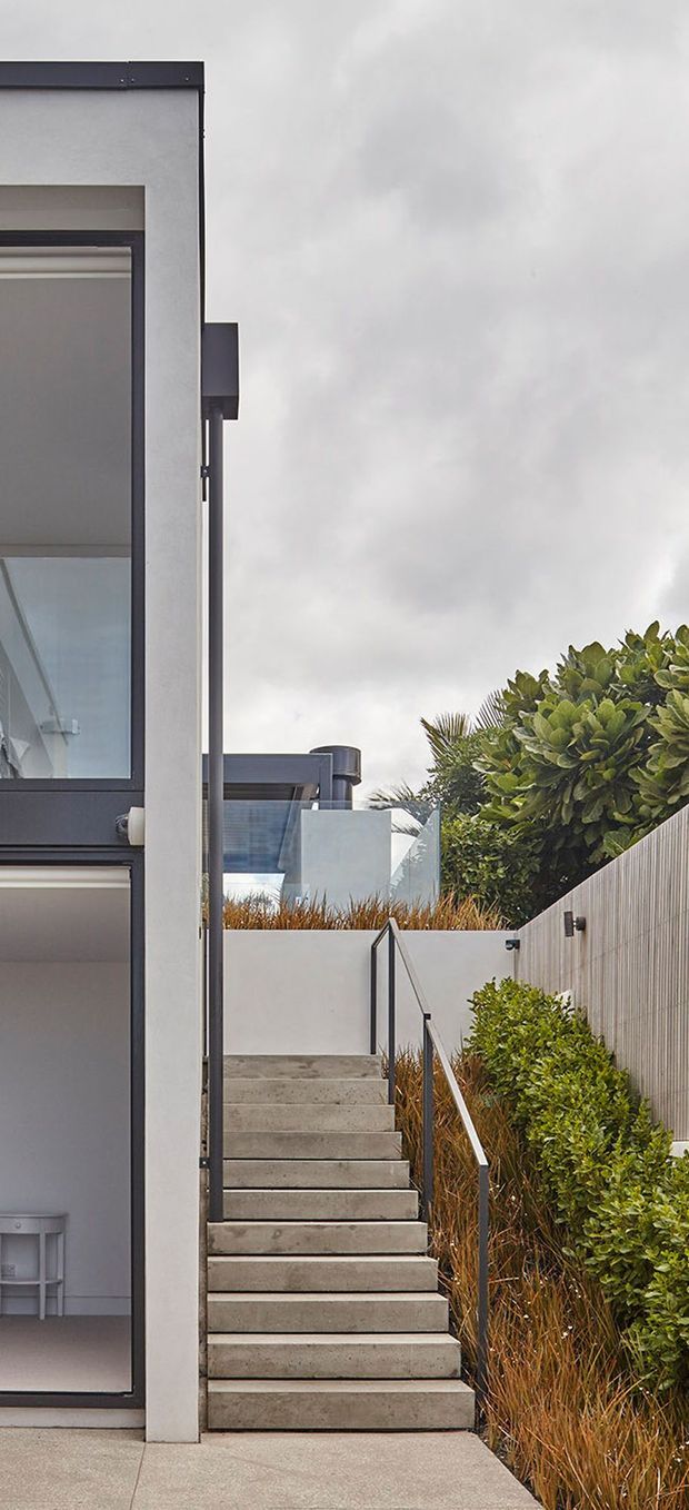 A narrow exterior view of a contemporary multi-level residence, showing a straight concrete stairway with dark metal handrails between landscaped planting beds. The house has smooth light-grey rendered walls, large dark-framed glazing, and crisp flat-roofed volumes. Dense greenery and ornamental grasses line the stairs under an overcast sky.