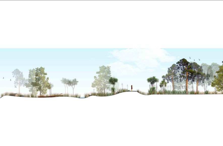 Buller Stream Stormwater Facility 