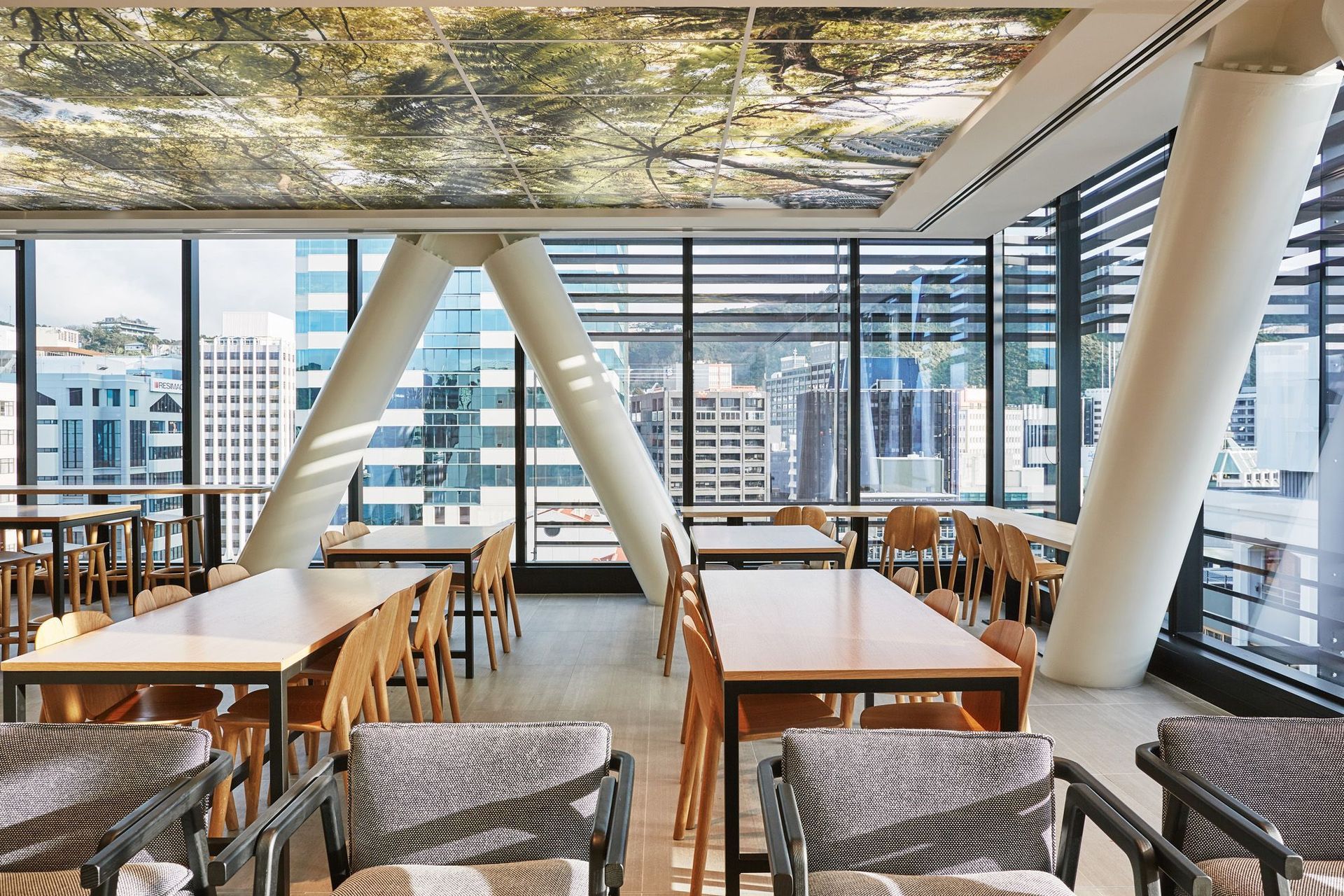 A feature of the staff café is a large lightbox ceiling emanating a bush canopy of ferns.