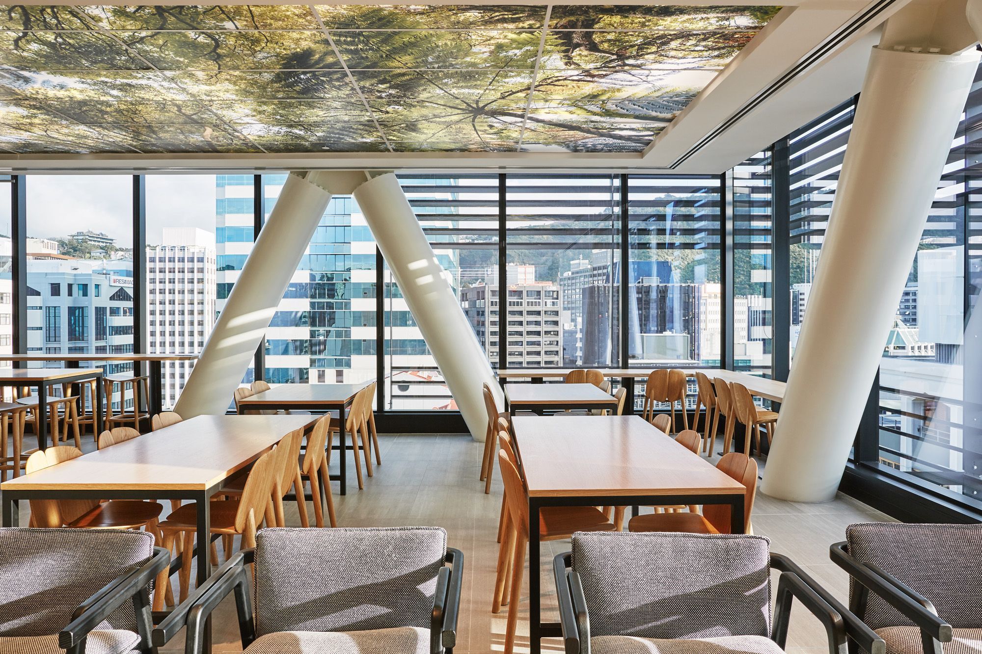 A feature of the staff café is a large lightbox ceiling emanating a bush canopy of ferns.