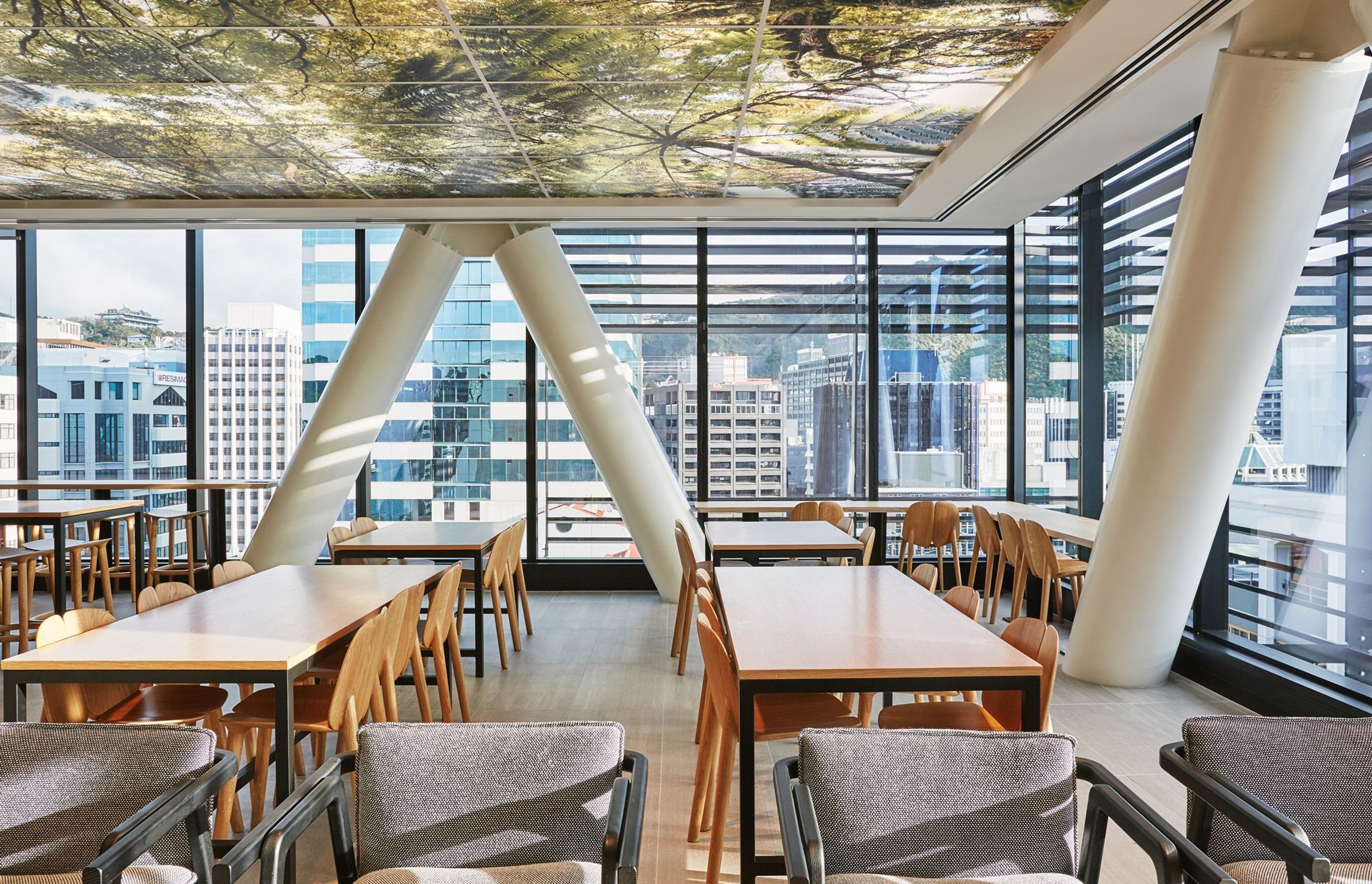 A feature of the staff café is a large lightbox ceiling emanating a bush canopy of ferns.