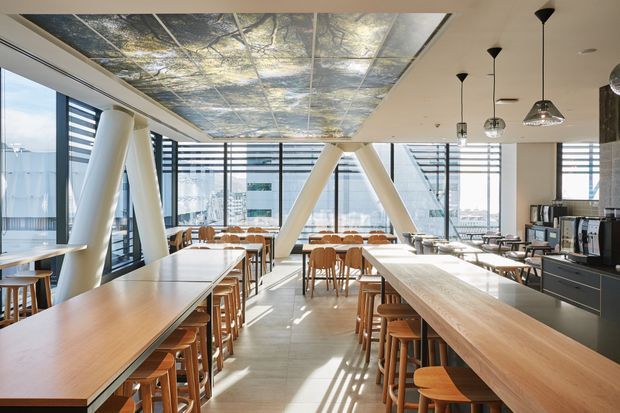 A bright contemporary commercial dining and café space with extensive floor-to-ceiling glazing, exposed white structural bracing, long timber communal tables with stools, and a compact service counter along the right wall. The ceiling combines a reflective metallic feature panel with a plain white ceiling and suspended pendant lights. Strong daylight creates pronounced linear shadows across the pale tiled floor.