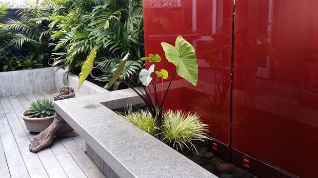 A contemporary landscaped courtyard or outdoor terrace featuring a raised concrete planter with tropical foliage, ornamental grasses, dark river stones, and potted succulents. A glossy deep-red wall provides a bold architectural backdrop, while pale grey decking and concrete planters create a clean, modern composition.
