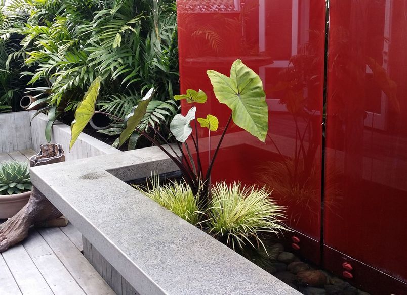 Vivid & Vibrant Water Garden - Mission Bay