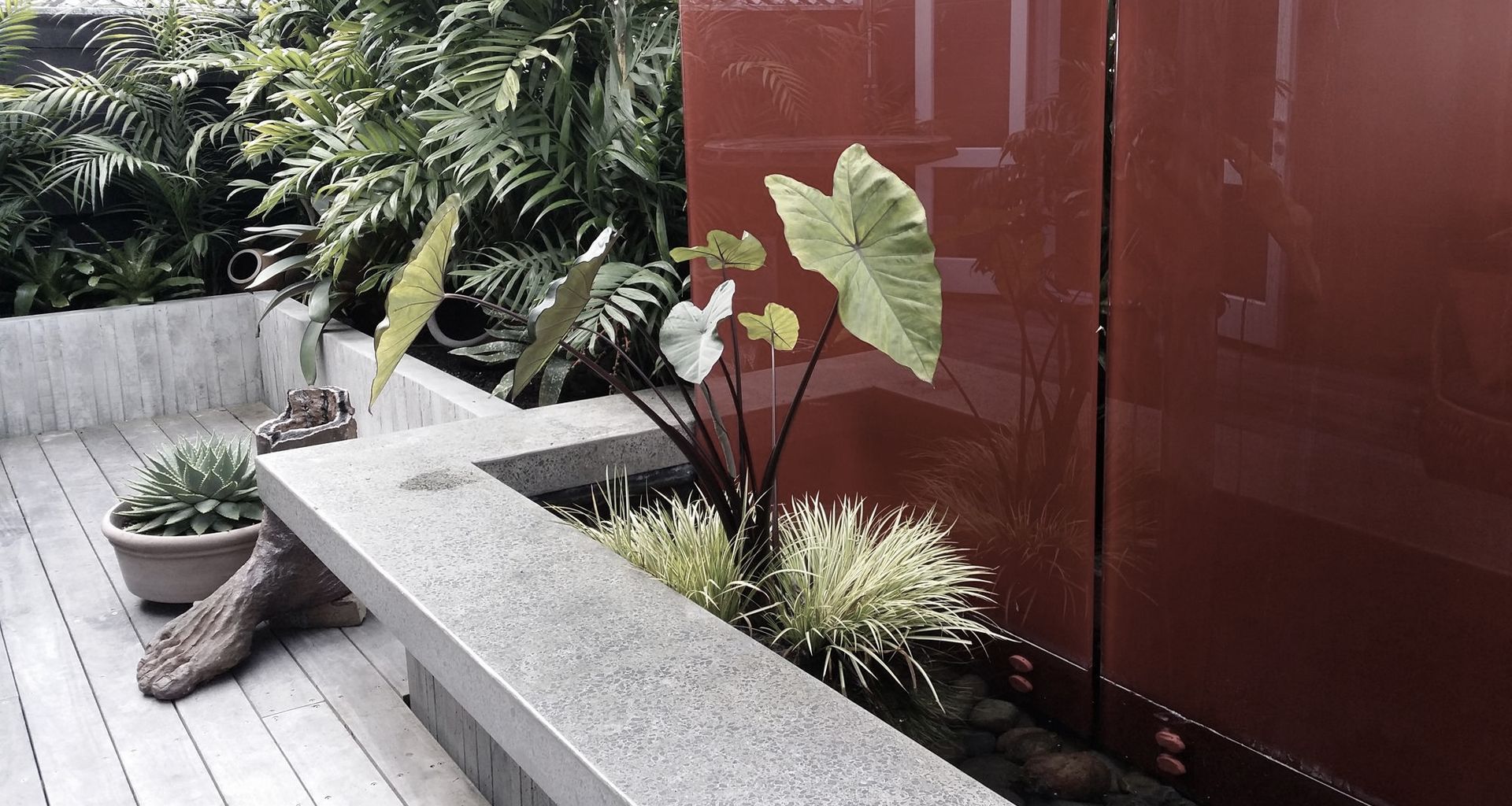 Vivid & Vibrant Water Garden - Mission Bay banner