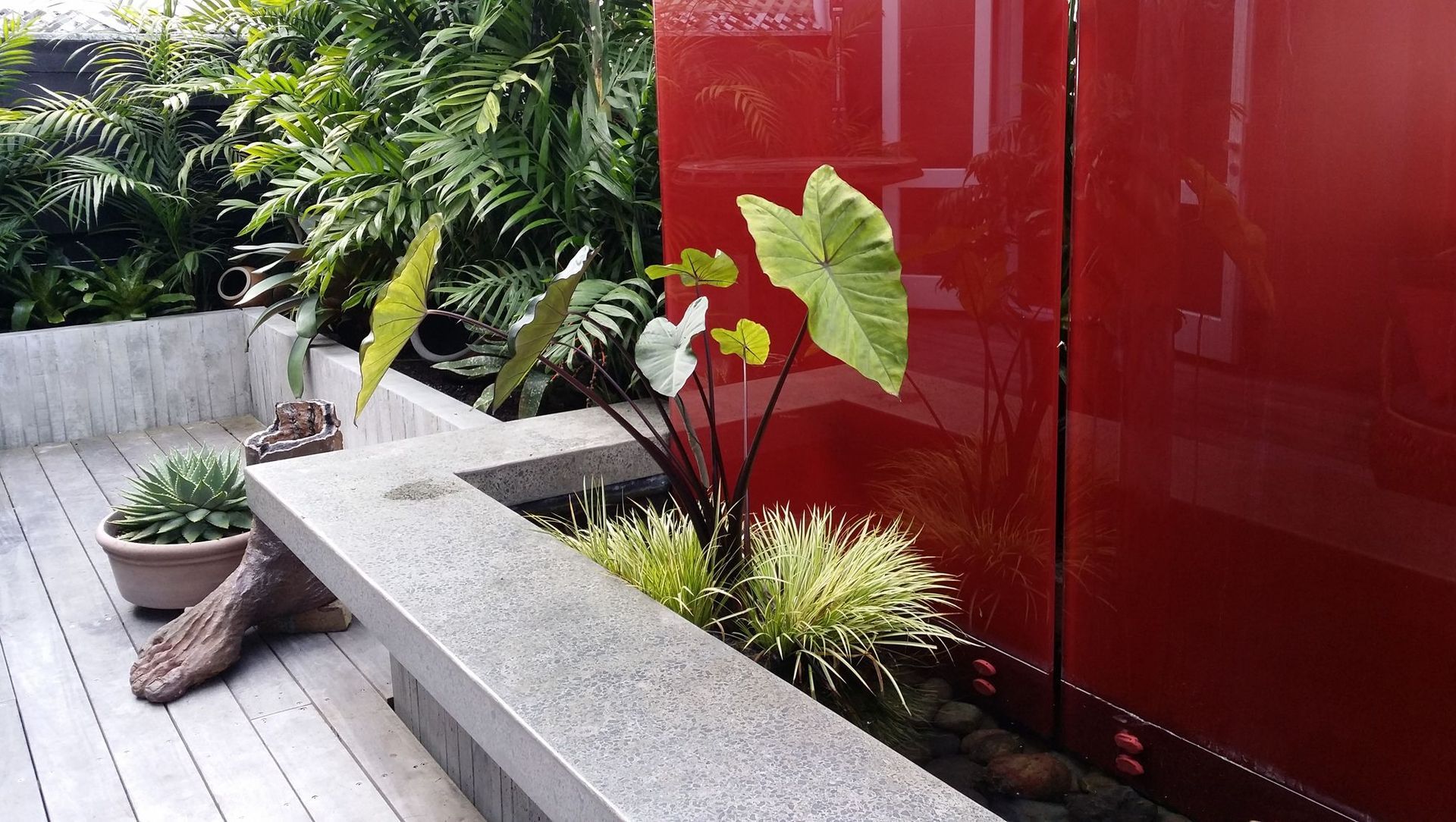 Vivid & Vibrant Water Garden - Mission Bay banner