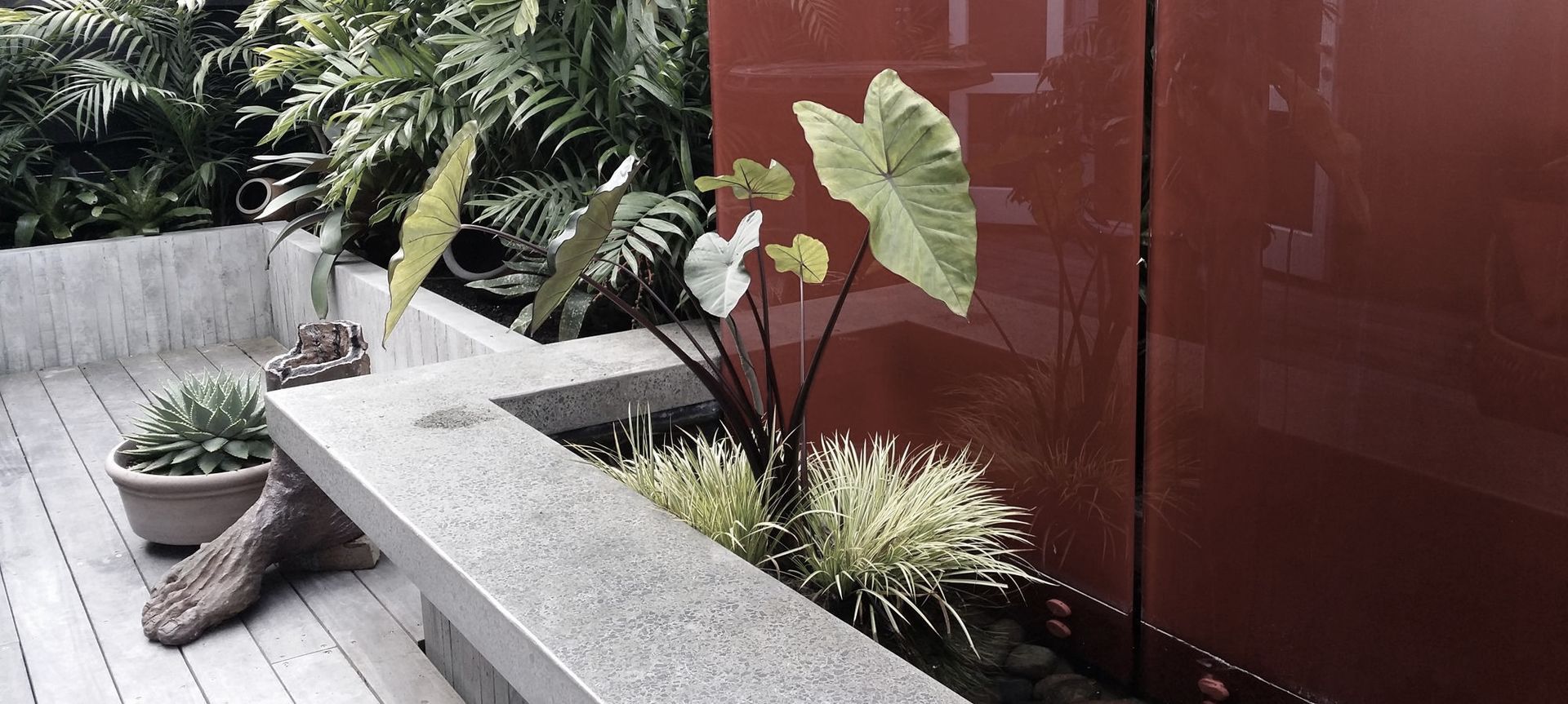 Vivid & Vibrant Water Garden - Mission Bay banner