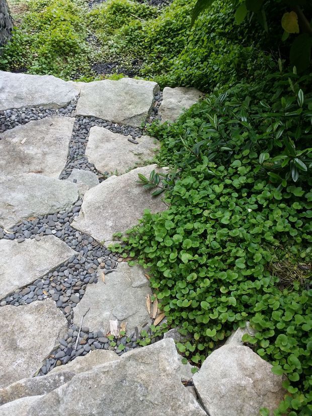 Close-up view of an informal garden pathway made from irregular pale natural stone slabs, with dark rounded pebble infill between the stones and dense green groundcover planting along the edges. The image focuses on landscape paving and lush planting, with no building visible.